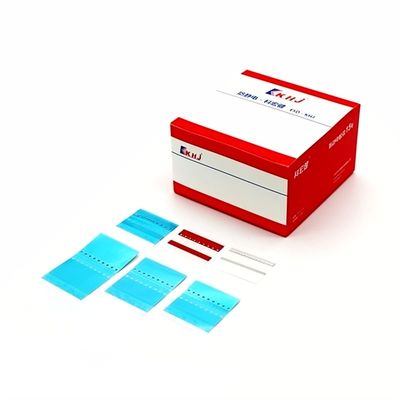 좋은 가격 2 300 Dpi 판독 해상도를 위한 폴리에스터 필름과 접착 테이프 온라인