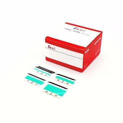 좋은 가격 2 경쟁 시장을 위한 라미네이션이 있는 폴리에스터 테이프 온라인